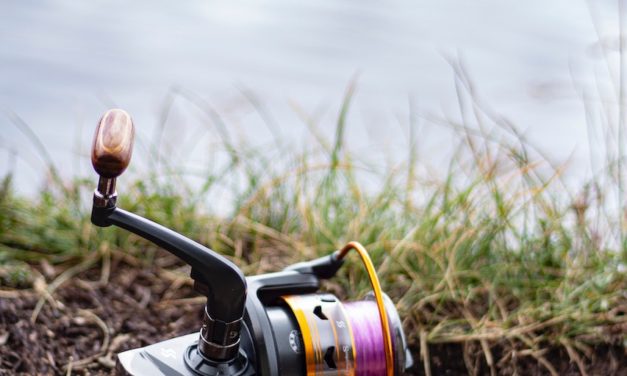 Canne Spinning ou Canne Casting : Quelle canne à pêche choisir ?