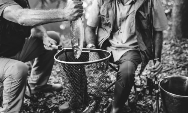 Comment devenir guide pêche en 2022 ?