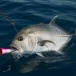La pêche à la carangue : un guide complet pour les passionnés